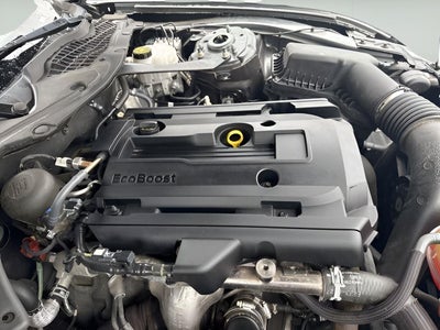 2019 Ford Mustang EcoBoost