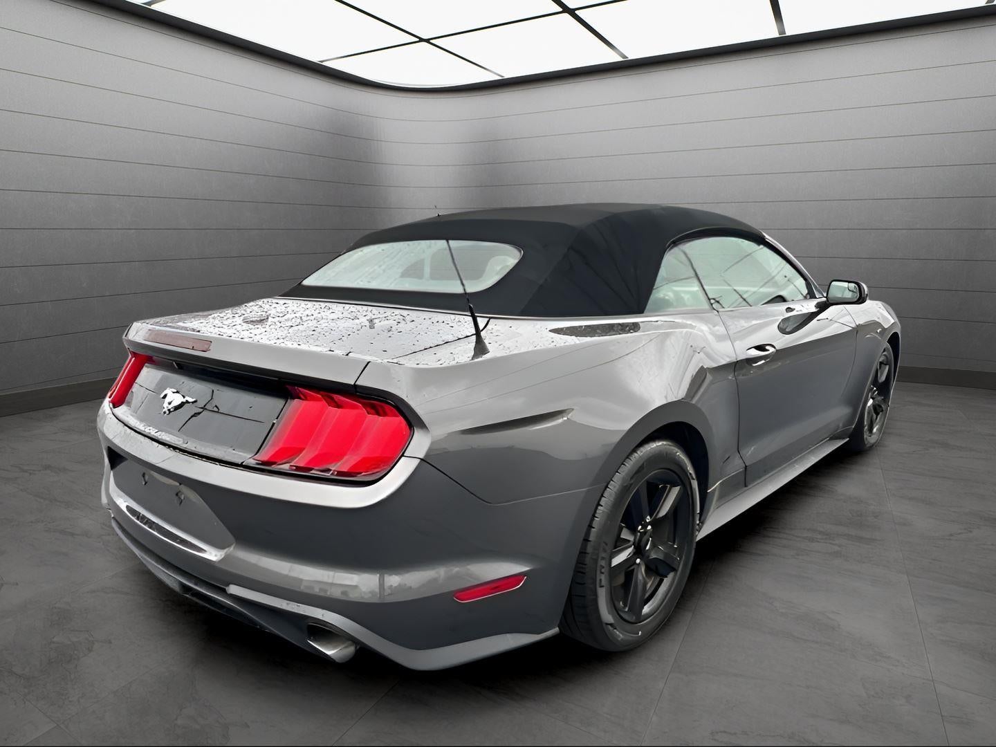 2019 Ford Mustang EcoBoost
