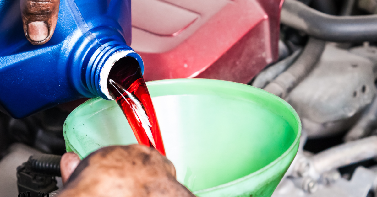 Transmission Fluid Exchange Service